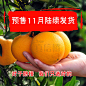 预售真信橙赣南脐橙 信丰脐橙新鲜水果赣南脐橙5斤精品果-tmall.com天猫