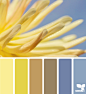 Design Seeds® | find your palette