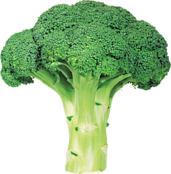 郭源潮·采集到食品 png