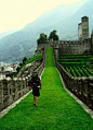 Bellinzona, Switzerland by Yair Adaro