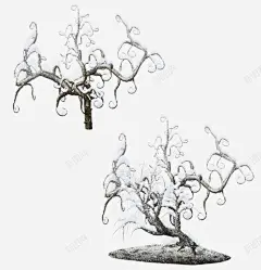 罗曼雪花的树高清素材 罗曼 雪花 免抠png 设计图片 免费下载