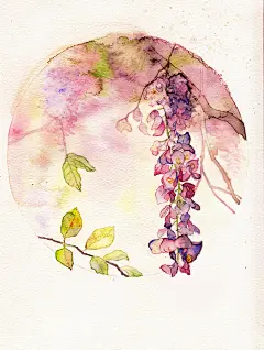 鸭梨儿  的插画 紫藤萝