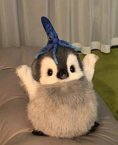 霓湘君采集到猫猫