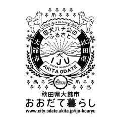 一只困采集到参考=14边框2独立花纹 9花边 13卡片 18装饰素材