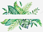 绿色手绘的植物边框 免费下载 页面网页 平面电商 创意素材