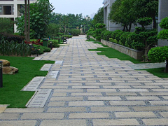 grandmather采集到消防道