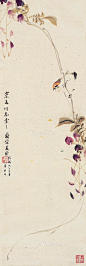 0331紫藤小鸟 立轴 纸本 