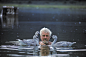 fuckyeabirds:

Zoologist, ethologist, and ornithologist Konrad Lorenz, with his birds.