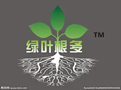 绿叶根多