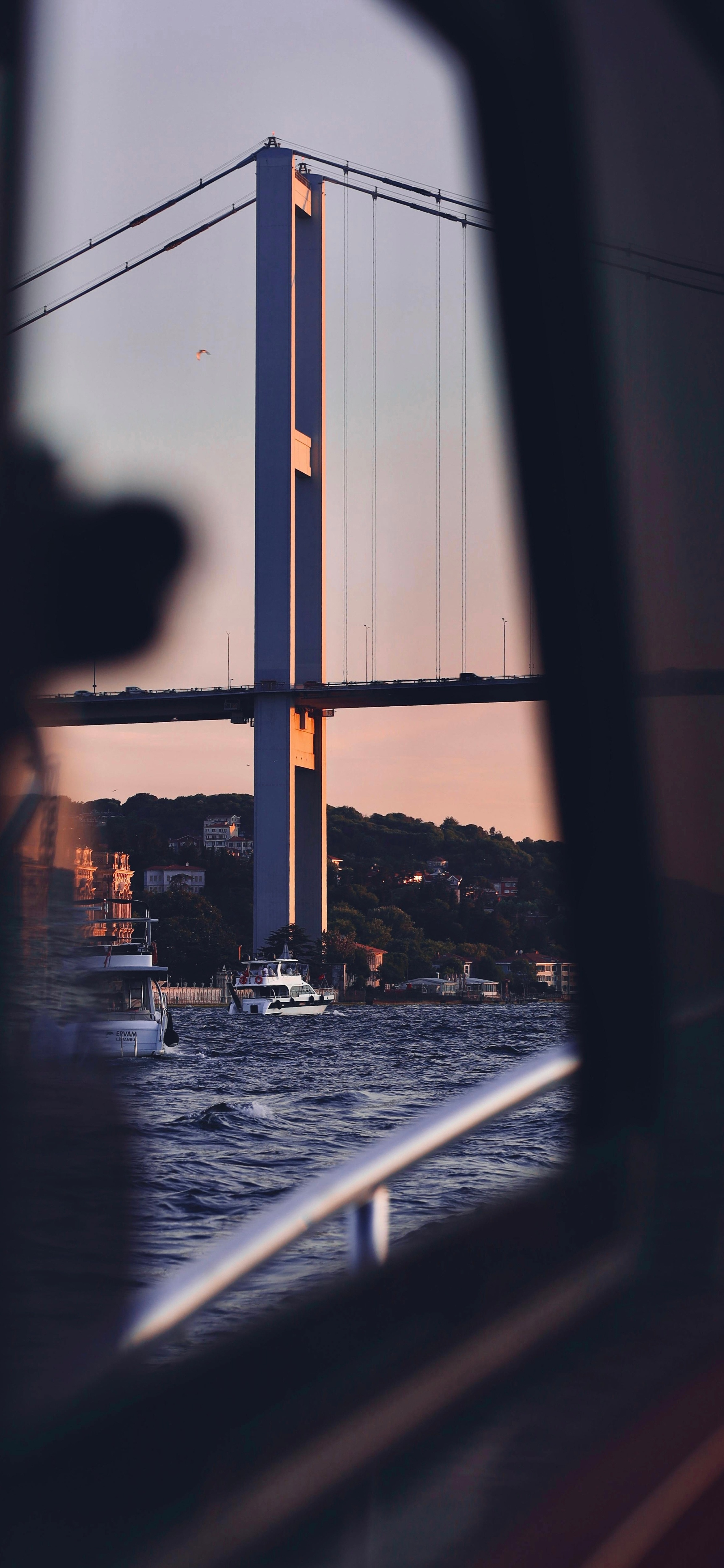 又发现一张还不错的手机壁纸