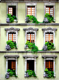 Windows, Venice, Italy