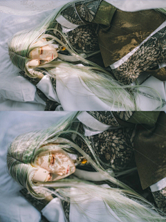 爱吃鱼的小夜猫🐟采集到bjd