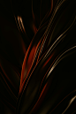 a black and red background with wavy lines