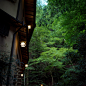 京都清水寺

京都嵐山祇王寺

京都青蓮院

京都西芳寺

東京都杉並區西荻

鎌倉高徳院

日光市东照宫

前世の影が見えるようだ、またしばらく消え

神宮の女家族、仏門の客、半分の雲錦、わらび靑靑

(8张)