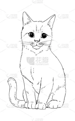 动物,猫,绘画插图,草图,手,黑白图片,画画
