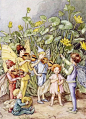Cicely Mary Barker ​​​​的小花仙 ​​​​
