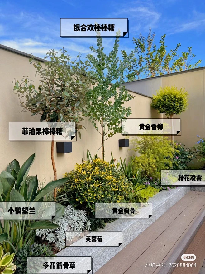 庭院植物配置-花瓣网