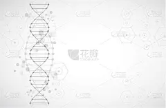 壁纸,模板,脱氧核糖核酸,科学,健康保健,人,生物科技,概念,弯曲