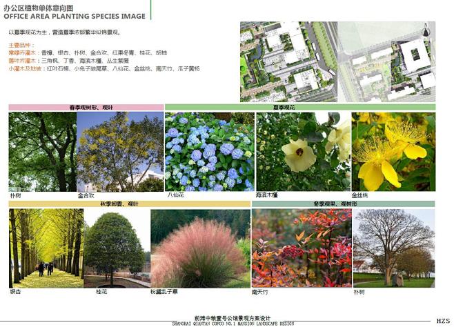 上海前滩中粮壹号公馆植物设计 (11)