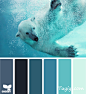 polar palette