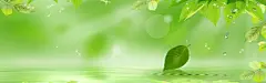 绿色淘宝海报背景高清素材 banner 大气 淘宝素材 简约 背景 背景 设计图片 免费下载
