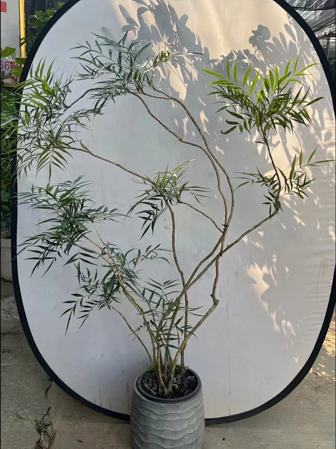 你们要的十大功劳都在这里