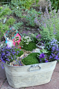 fairy garden in galvanized tub.....cute