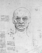 达芬奇素描簿–解剖篇+肖像篇
下载地址：http://cciup.com/archives/30620
