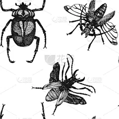 甲虫,昆虫,四方连续纹样,生物学,华丽的,纺织品,野生动物,壁纸,现代,自然美