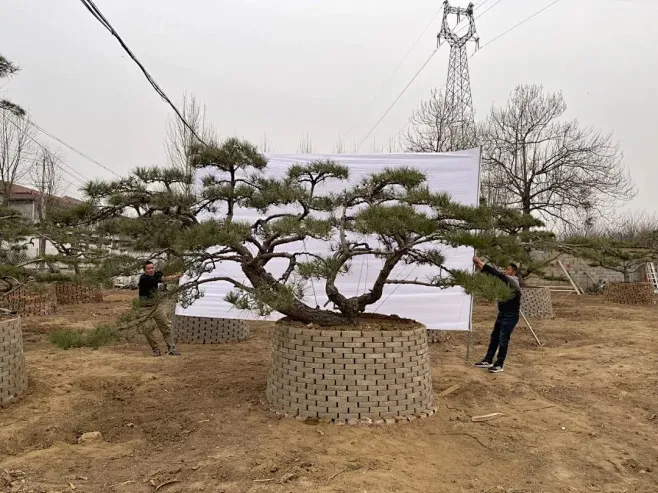花瓣网 - 陪你做生活的设计师（创意图片大全、设计灵感图库、高清图片素材）