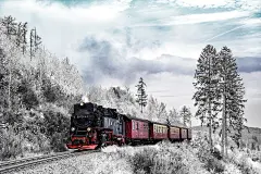 寒冬, 冬天, 景观, 雪, 自然, 树, 白, 雪景观, 冬季魔术, 冬天的心情, 高清壁纸