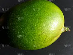 凯特芒果