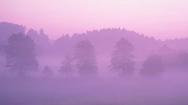 pink forest背景 天空 白云 蓝天白云 合成素材 场景素材 天空背景