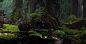 Forest Shrine Path