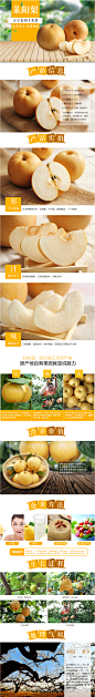 美食四季 梨子山东特产莱阳梨丰水梨非雪梨新鲜水果梨5斤包邮-tmall.com天猫