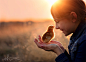 Spring Chick