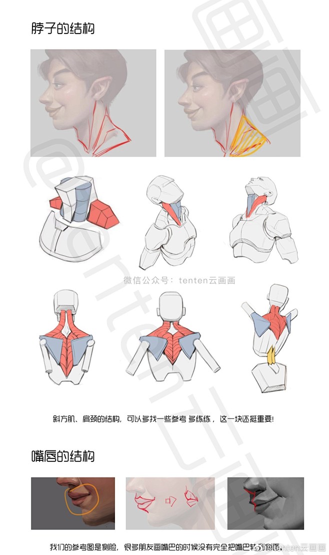 tenten云画画的照片 - 微相册