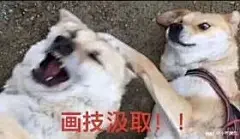 憨憨，美术生，傻屌，表情包