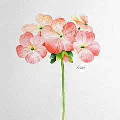 绘画 - 首页 - 微博