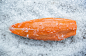 Inarctica