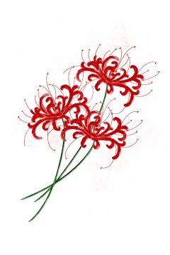 186dc2c35c3d2e42a7860e44e08f590a