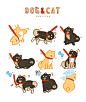 可爱小猫小狗插画猫狗动物宠物插图泰迪哈士奇PSD分层设计素材-淘宝网