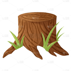 chentuxi采集到植物