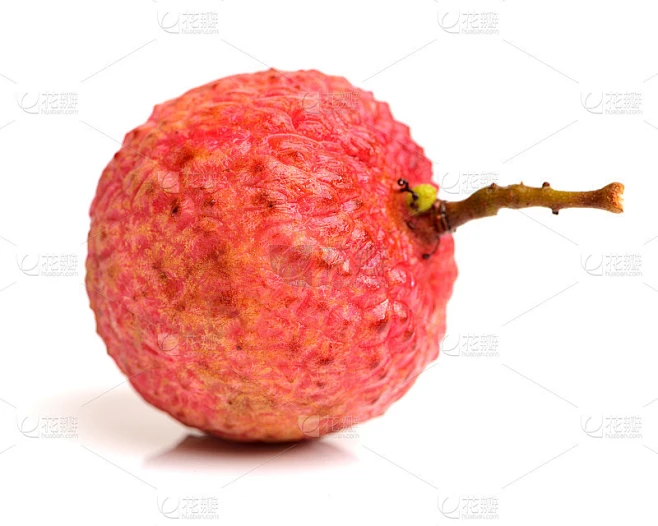 鲜荔枝(Litchi chinensis)素材-花瓣网