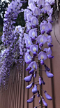 (846) Pinterest