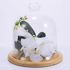 现代简欧风格木底玻璃蛋糕盘面包点心水果盘子玻璃罩压克力@北坤人素材