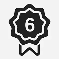 第六奖牌图标_88ICON https://88icon.com 第六 奖牌