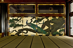 geemiya采集到场景景观素材01