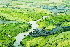 唯美乡村振兴农田卡通绘图插画
