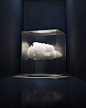 (78) Pinterest